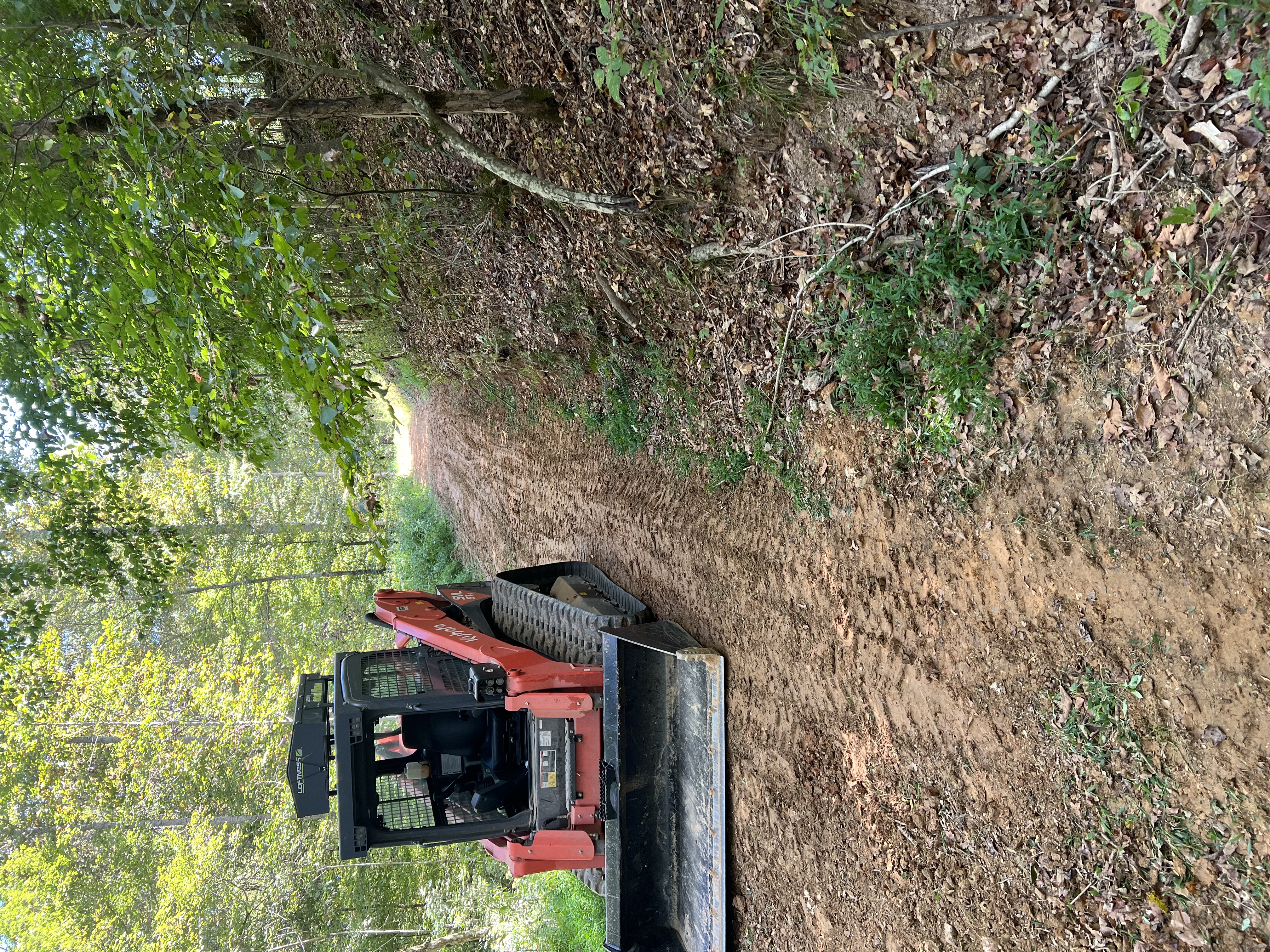 Forestry Mulching and Dirt Work in Dickson, TN
